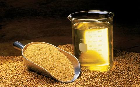 تصویر 3 از خرید روغن مخصوص خوراک دام (گالن و فله) + قیمت ویژه